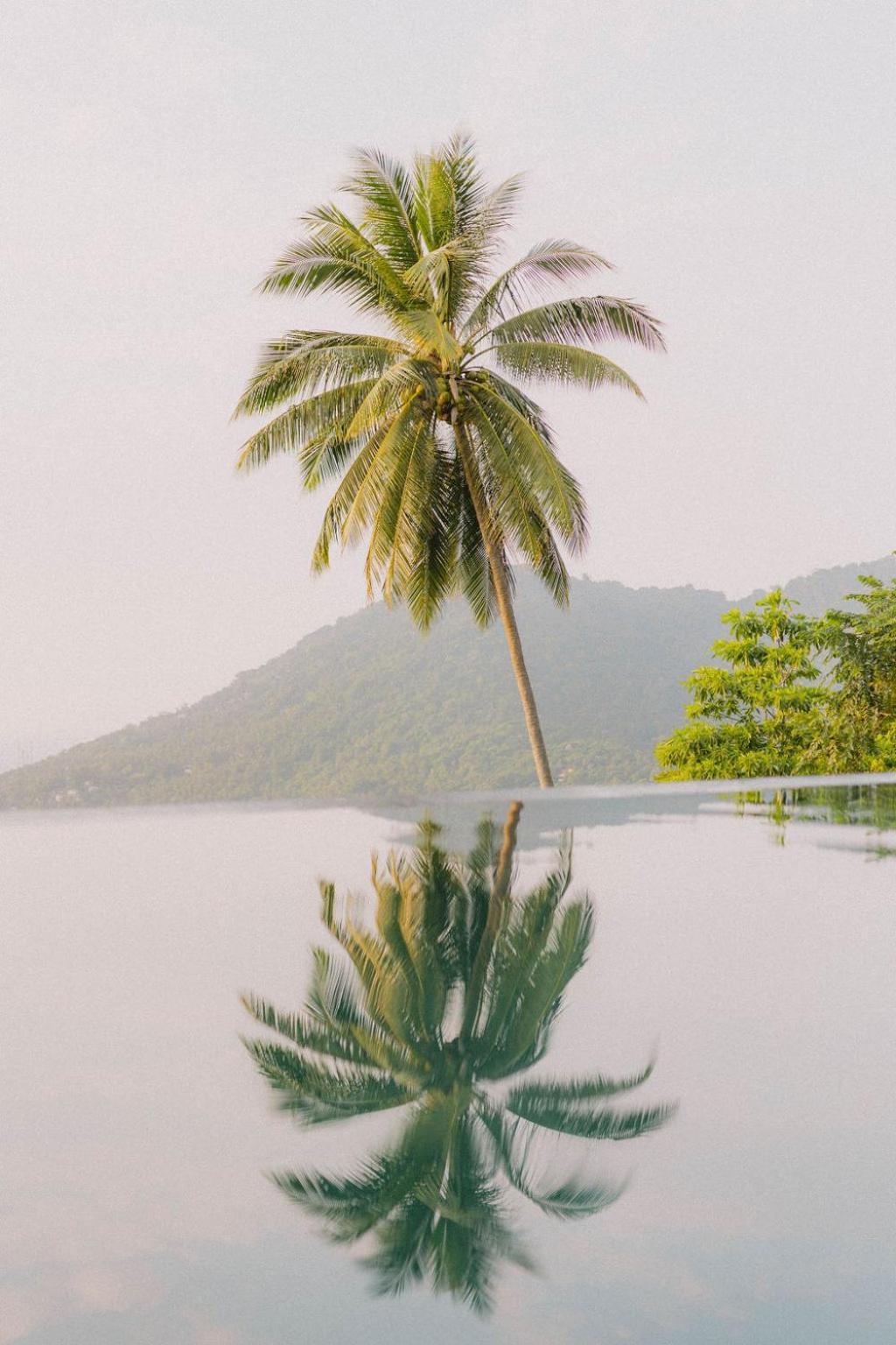 Perfect View Pool Villa タオ島 エクステリア 写真