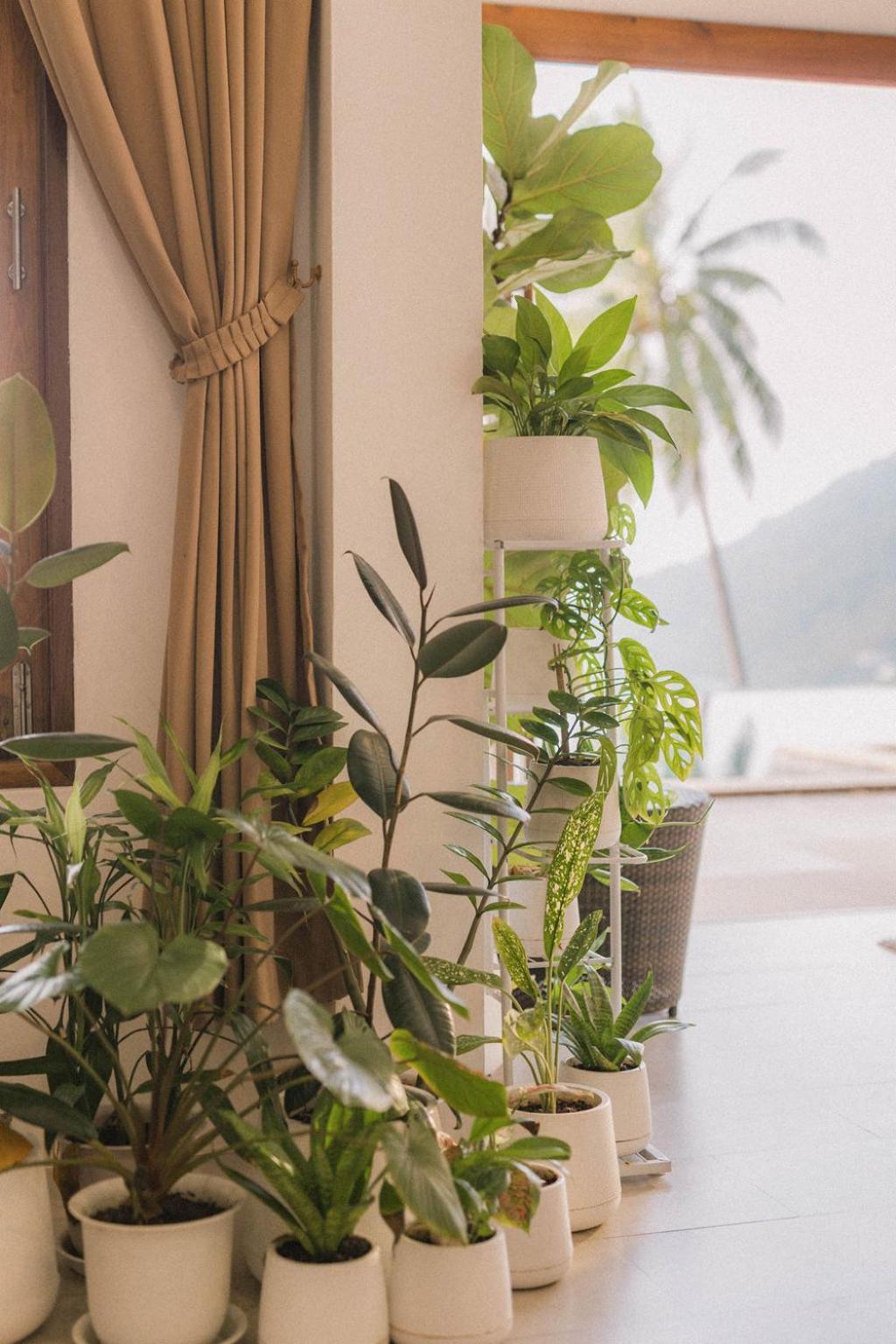 Perfect View Pool Villa タオ島 エクステリア 写真